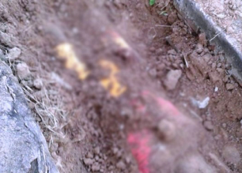 Araci – Agricultor encontra corpo enterrado em cova rasa em propriedade rural