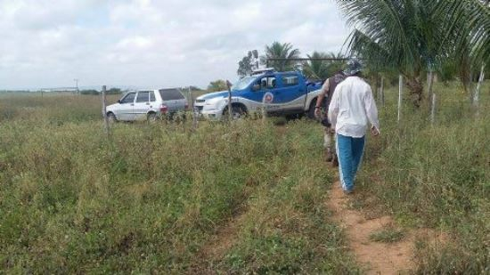 Tucano- Corpo é encontrado nas margens da BR-116