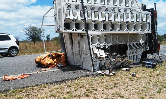 Alcione Paredão (2)