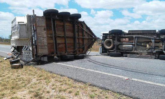 Alcione Paredão (3)