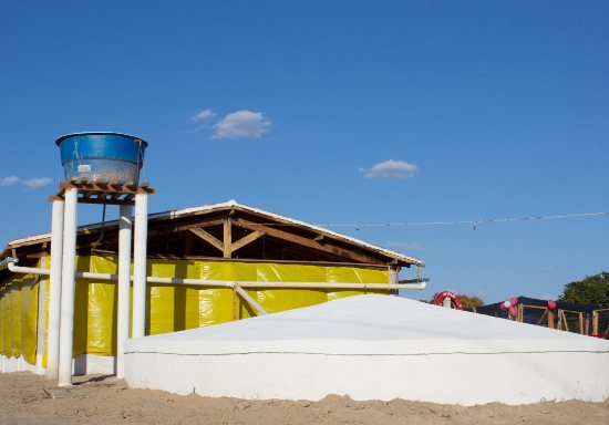 Projeto Segunda Água do CONSISAL entrega primeiros Kits de Horta, Cisterna e Aviário