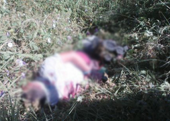 Dois corpos são encontrados as margens de rodovia em Serra Preta