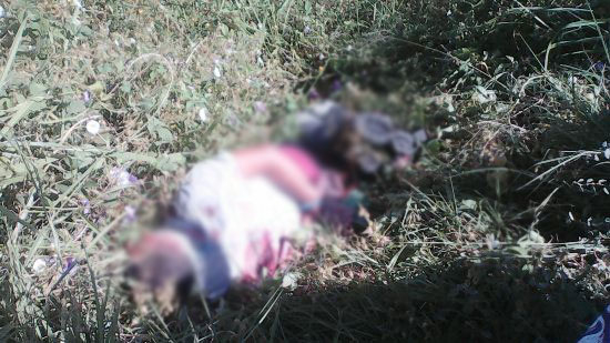 Dois corpos são encontrados as margens de rodovia em Serra Preta