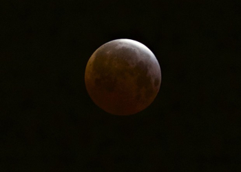‘De olho para o céu’. Eclipse da lua será visto a olho nu neste domingo (27)