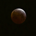 ‘De olho para o céu’. Eclipse da lua será visto a olho nu neste domingo (27)