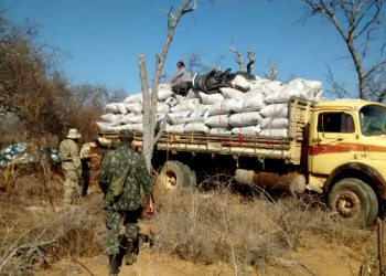 Campo Formoso – Operação da Polícia Federal apreende oito toneladas de maconha em fazenda