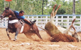 vaquejada-de-serrinha