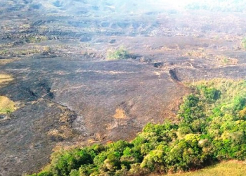 Chuva ajuda a conter focos de incêndio na Chapada Diamantina