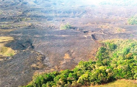 Chuva ajuda a conter focos de incêndio na Chapada Diamantina