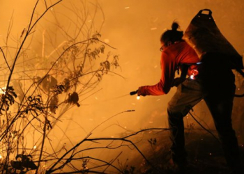 Incêndio: situação continua crítica em seis pontos da Chapada Diamantina