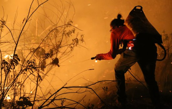 Incêndio: situação continua crítica em seis pontos da Chapada Diamantina