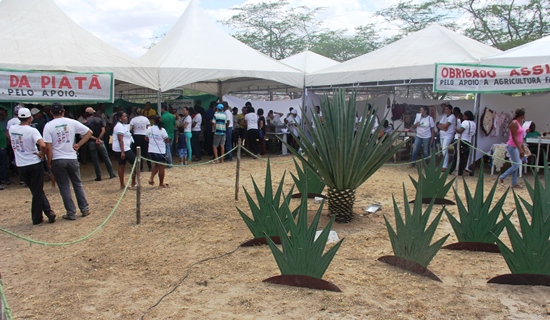 feagri coité 2015 - 2