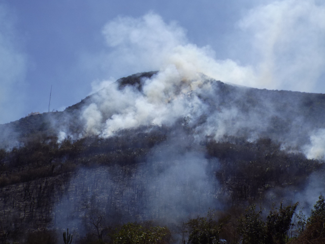 Incêndio está devastando a vegetação da Serra da Santa Cruz, em Monte Santo