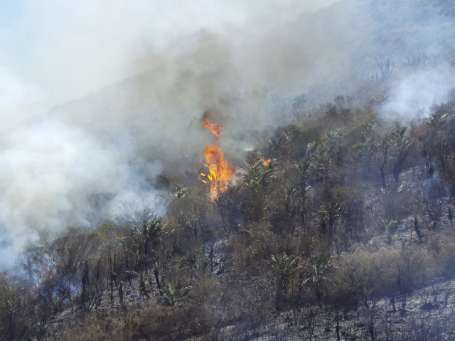 incendio na serra de monte santo.2