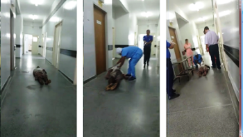 Serrinha: mulher é processada após filmar homem passando mal em hospital