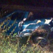Quatro pessoas ficam feridas após veículo bater em carro parado na pista por falha mecânica na BA-120