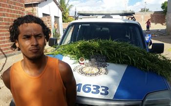 Alem da droga "in natura" foi encontrado porções prontas para serem comercializadas.