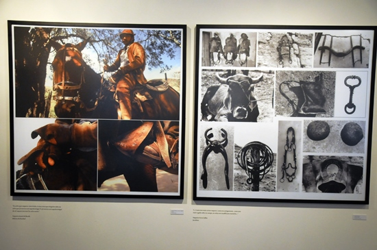 Serrinha: Exposição Imagens dos Vaqueiros da Bahia faz homenagem a Manoelzinho Aboiador