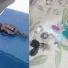 Operação Final de Ano – Guarnição do 16º BPM prende dois com arma e droga em Araci