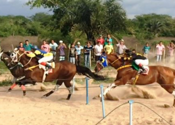 Cavalo avaliado em R$ 600 mil morre após vencer corrida