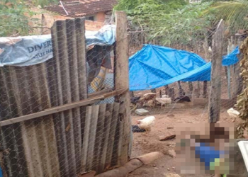 Homem invade casa para roubar galinhas e morre eletrocutado em ‘armadilha’