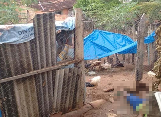 Homem invade casa para roubar galinhas e morre eletrocutado em ‘armadilha’