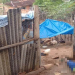 Homem invade casa para roubar galinhas e morre eletrocutado em ‘armadilha’