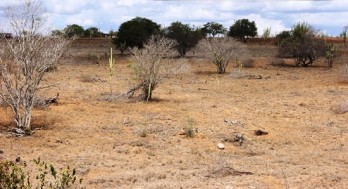 Cenário em todo município é este. O que aumenta ainda mais o compromisso da gestão. 