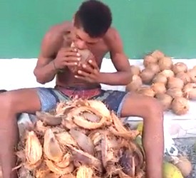 Homem ganha a vida descascando cocos com dentes