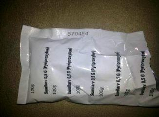 Retirolândia- Prefeito denuncia falta de larvicida para combater Aedes: ‘usamos piabas’