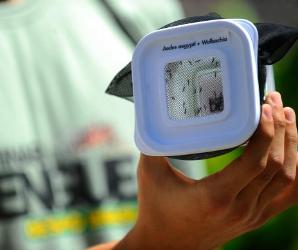 Brasil vai usar tecnologia nuclear para esterilizar Aedes macho e combater epidemia de Zika