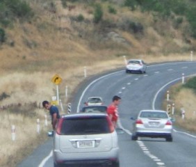 Cena ocorreu em rodovia em Southland, na Nova Zelândia.