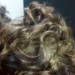 Grupo invade loja, faz 6 reféns e pinta cabelo de vítima em assalto