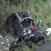 Acidente que envolveu carro e carreta deixa dois mortos e mata 20 bois perto de Itabuna