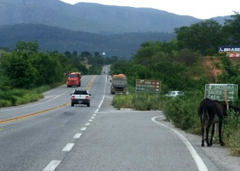 Motociclista morre ao colidir moto contra caminhão na BR 324