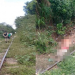 Serrinha – Homem morre atropelado por trem quando tentava “se livrar” de cachorro doente