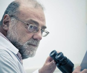 Computador de cientista é furtado com pesquisa inédita contra zika