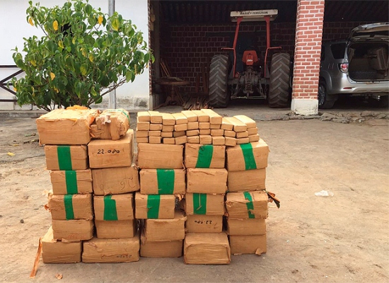 Marido de cantora baiana é preso pela PF com uma tonelada de maconha