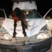 Motorista sobrevive ao atropelar cavalo e animal entrar por para-brisa