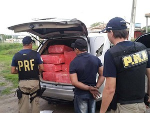 Feira de Santana: Polícia apreende meia tonelada de maconha em veículo