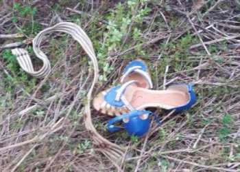 Pescador sequestra e estrangula ex-mulher com cinto após fim do relacionamento