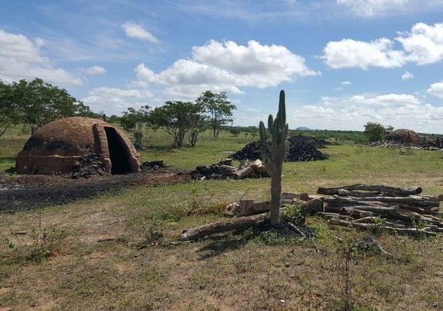 Operação contra fornos clandestinos é realizada pelo Inema em Monte Santo,Itiúba e Andorinha
