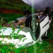 Mulher morre e 4 pessoas se ferem após carro despencar em ribanceira na BR-101