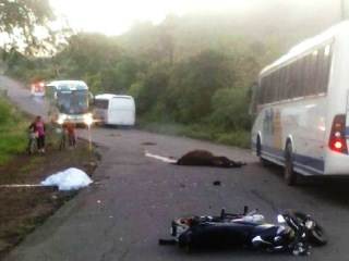 Motociclista e cavalo morrem depois de colisão na BR-110