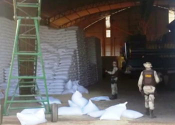 Quadrilha invade fazenda em Barreiras e roubam cerca de mil sacas de feijão
