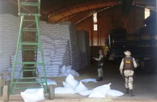 Quadrilha invade fazenda em Barreiras e roubam cerca de mil sacas de feijão