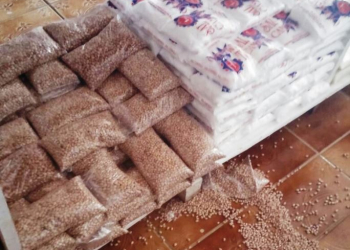 Coité – Durante assalto bandidos levaram dinheiro, celulares e feijão