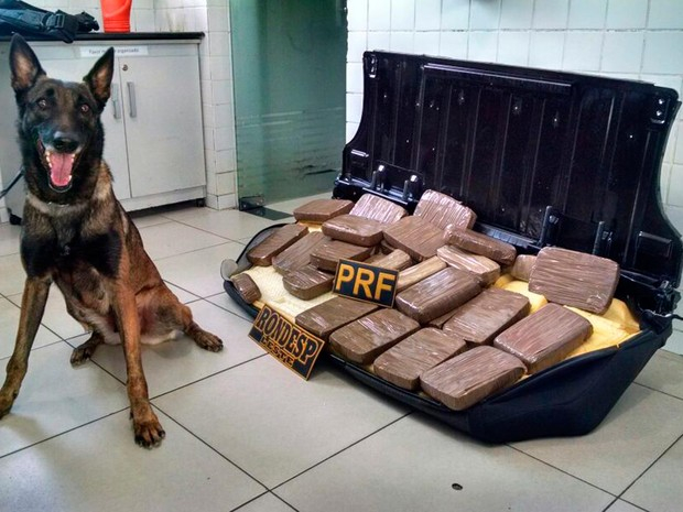 Droga é encontrada dentro de carro em caminhão-cegonha na Bahia