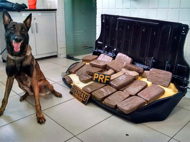Cadela foi usada pela polícia para encontrar droga dentro de carro
