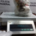 Polícia Federal identifica 59 novas drogas no País em três anos